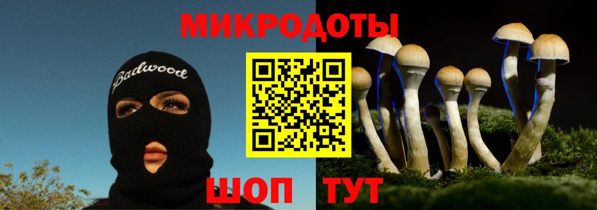 Галлюциногенные грибы Psilocybe Удомля